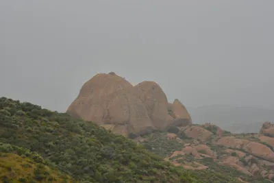 DSC_6835 (Large).JPG